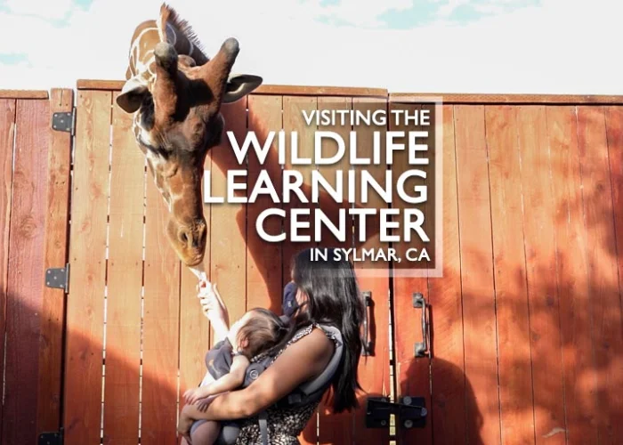 Things to Do in LA with Kids and Family 1 wildlife learning center los angeles